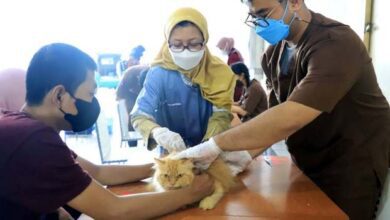 DKP Kota Tangerang Gelar Vaksinasi Rabies Hewan Peliharaan