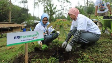 BRI Tercatat Sebagai Bank dengan Pengelolaan Risiko ESG Terbaik