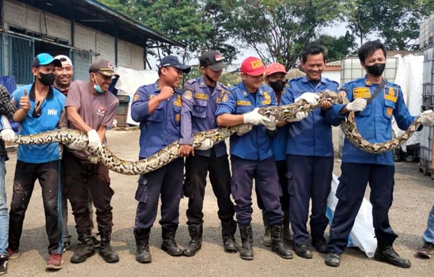 BPBD Kabupaten Tangerang Tangani 15 Kejadian dalam Satu Pekan