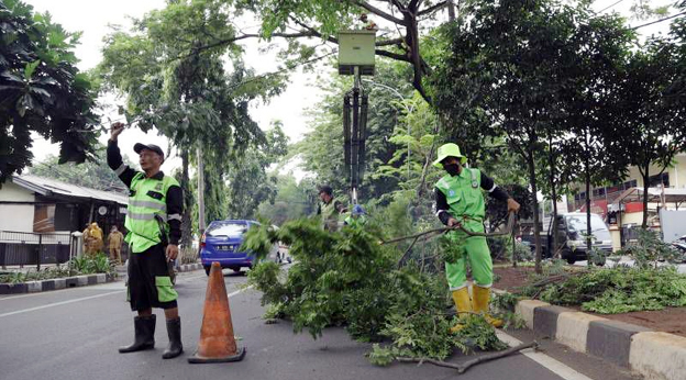 Masuk Musim Penghujan, Pemkot Tangerang Cegah Pohon Tumbang