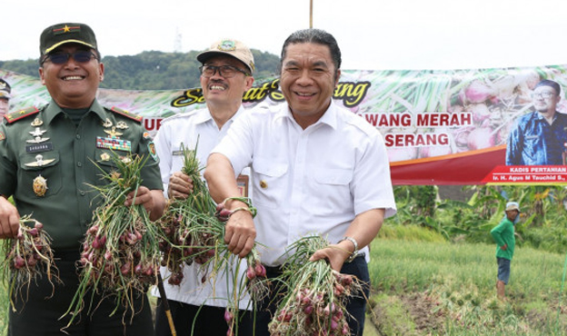Pj Gubernur Banten Panen Bawang Merah Bersama Danrem 064/MY