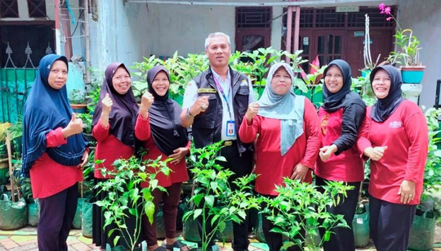 DPKP Kabupaten Tangerang Terapkan Gerakan Tanam Pangan Cepat Panen