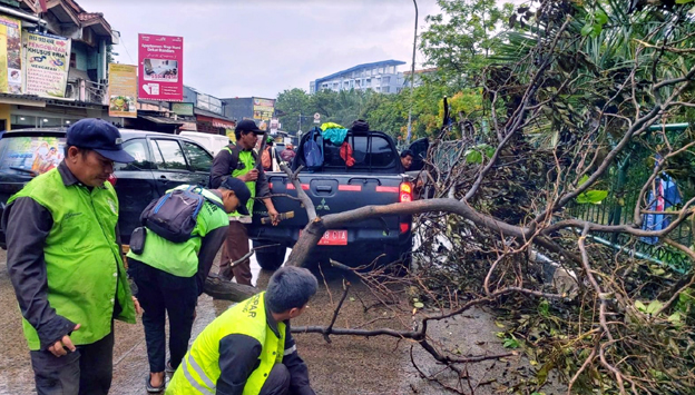 BPBD Kota Tangerang Tangani 14 Pohon Tumbang Dampak Hujan Angin