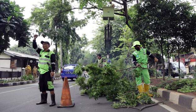 Korban Pohon Tumbang di Kota Tangerang Bisa Klaim Asuransi