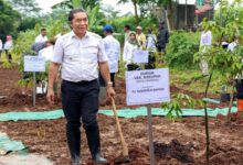Penanaman 1.000 Pohon, Al Muktabar Pilih Tanaman Durian Lokal