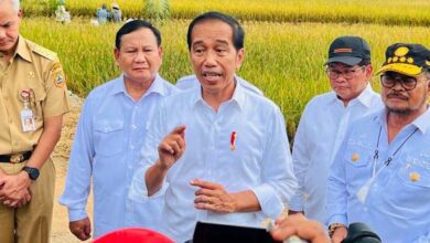 Presiden Minta Badan Pangan Nasional Hitung Harga Gabah Kering