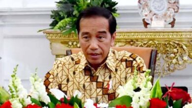 Presiden Minta Mentan Sesuaikan Aturan Pupuk Organik Subsidi