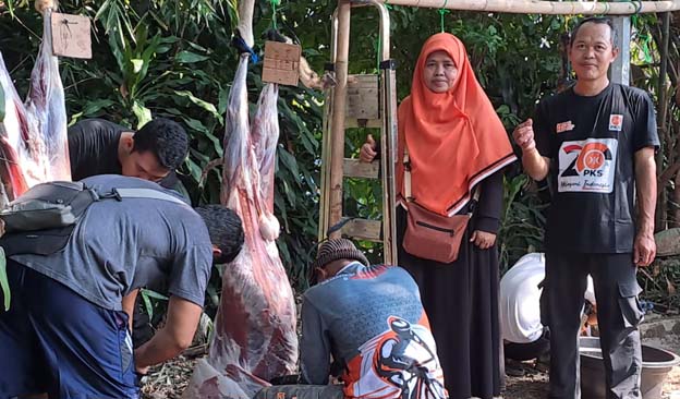 DPC PKS Larangan Potong Tiga Sapi, Yatmi: Ini Sebagai Ikhtiar