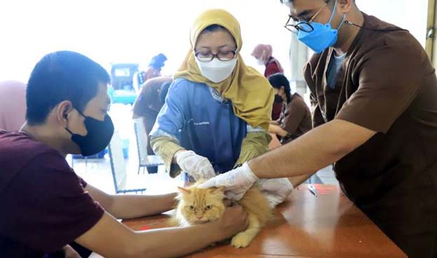 Cegah Rabies, DKP Kota Tangerang Lakukan Vaksinasi Hewan Gratis