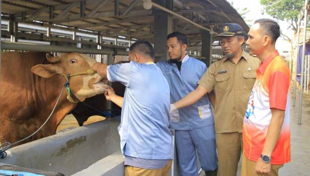 DKP Kota Tangerang Imbau Warga Pilih Hewan Qurban Sehat Bersertifikat