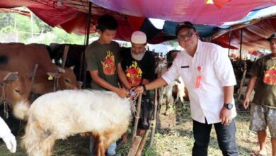 DPKP Kabupaten Tangerang Pastikan Kesehatan Hewan Kurban