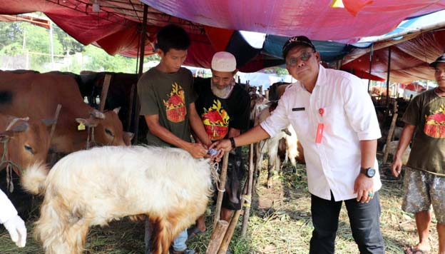 DPKP Kabupaten Tangerang Pastikan Kesehatan Hewan Kurban