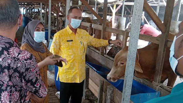 DKPP Kabupaten Serang Pastikan Hewan Qurban Berkondisi Sehat