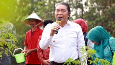 Al Muktabar Luncurkan Gerakan Menanam Sejuta Pohon Kelor