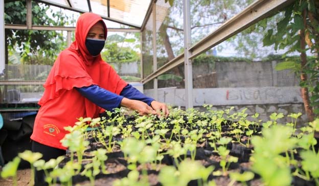 Yuliana Dharmawan Mengubah Lahan Tidur Jadi Hasilkan Cuan