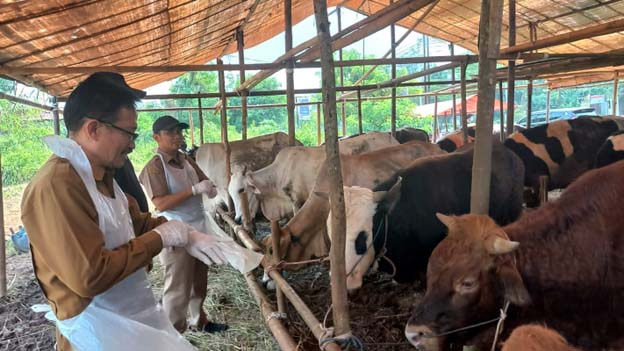 Pemprov Banten Sidak Kesehatan Hewan Kurban di Lapak Penjualan