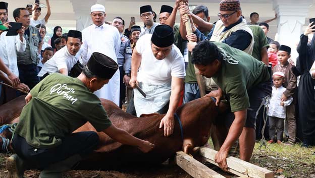 Pj Gubernur Banten Sembelih Sapi Kurban Bantuan Presiden