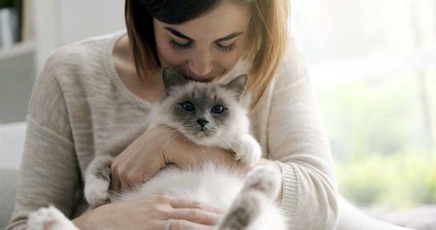 Kenali Gejala dan Penanganan Alergi Bulu Kucing