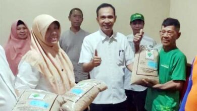 Jaga Ketahanan Pangan, DKP Kota Tangerang Bagikan 1 Ton Bibit