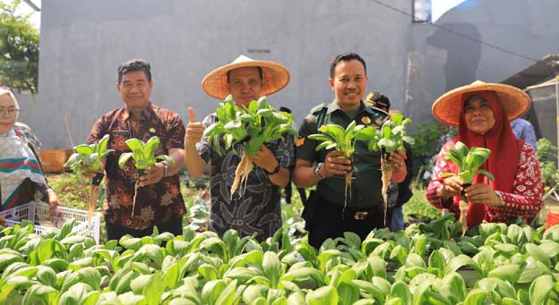 10 KWT Kota Tangerang Panen Serentak Sayur Hidroponik