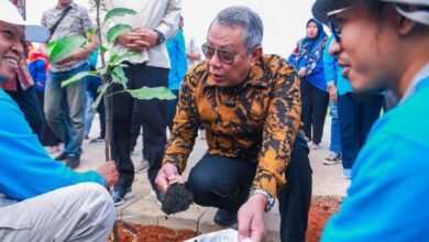 Hari Buah Internasional, Benyamin: Lakukan Penanaman Buah