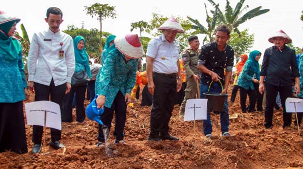 Pj Gubernur Al Muktabar Gencarkan Pemanfaatan Pangan Lokal