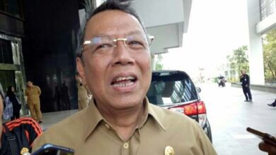 Terkait Polusi, Pemkot Tangsel Meningkatkan Ruang Terbuka Hijau