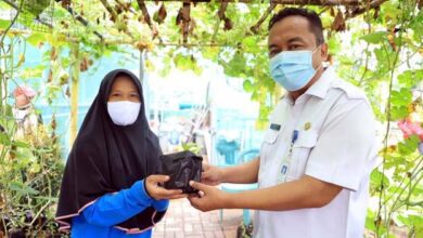 Tekan Polusi, Pemkot Tangerang Telah Bagikan Ribuan Bibit Tanaman