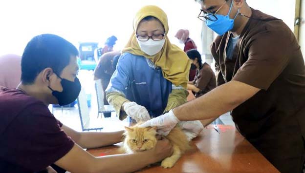 DKP Kota Tangerang Geliatkan Vaksinasi Rabies Gratis di 13 Kecamatan