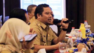 Menuju Indonesia Emas, Arief: Pusat, Provinsi dan Pemda Harus Bersinergi