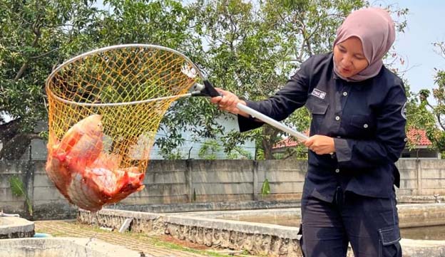 DKP Kota Tangerang Buat UPT PBTPHP Menjadi Lokasi Agrowisata