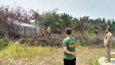 Satpol PP Tindak Lanjuti Soal Pembakaran Lahan di Kecamatan Tigaraksa