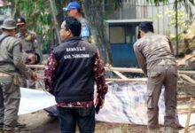 Satpol PP Kabupaten Tangerang Tertibkan Alat Peraga Kampanye
