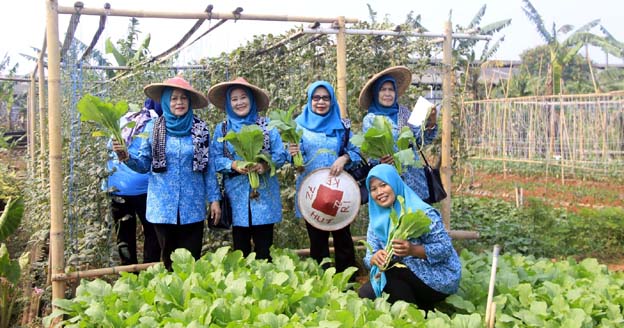 Kecamatan Jatiuwung Raih Juara 1 Pemanfaatan Pekarangan