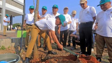 Sachrudin Menghadiri Kegiatan Aksi Tanam Pohon Bersama KLHK