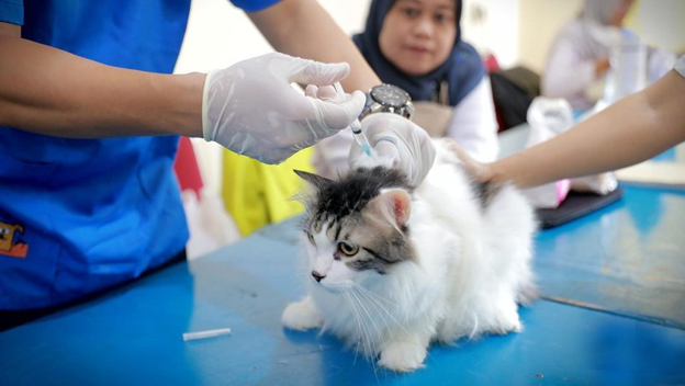 Puskeswan Kota Tangerang Miliki Layanan Kesehatan Keliling