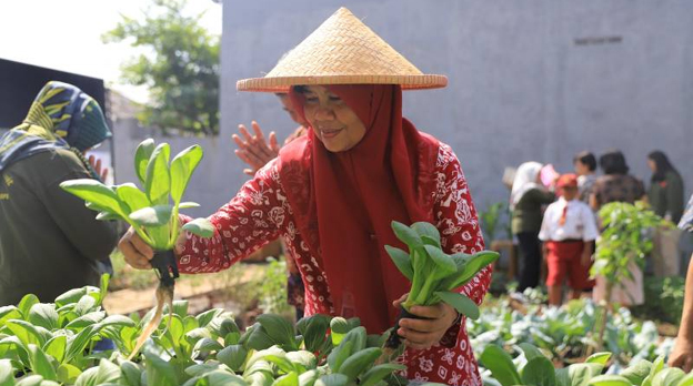 112 KWT Wujudkan Ketahanan Pangan di Kota Tangerang