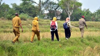 Pemkab Tangerang Klaim Ada 4.747 Hektare Lahan Bisa Ditanami Padi