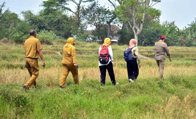 Pemkab Tangerang Klaim Ada 4.747 Hektare Lahan Bisa Ditanami Padi