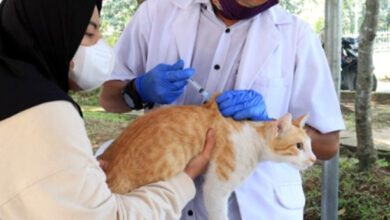 DPKP Kabupaten Tangerang Gelar Vaksinasi Rabies Secara Gratis