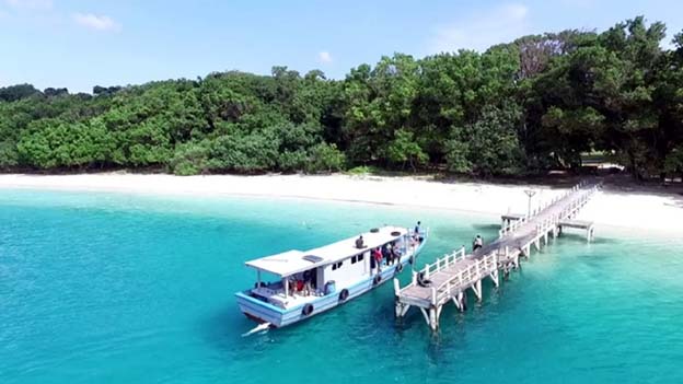 Menteri ESDM Tetapkan Ujung Kulon Jadi Geopark Nasional