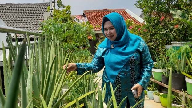 Nunuk Warga Kunciran Sukses Berkebun di Rooftop Rumah