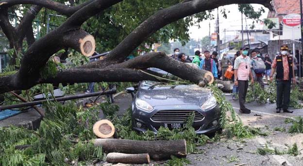 Pemkot Tangerang Miliki Layanan Klaim Asuransi Korban Pohon Tumbang