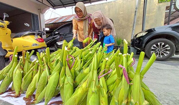 Jelang Malam Pergantian Tahun Baru, Pedagang Jagung di Serbu Pembeli