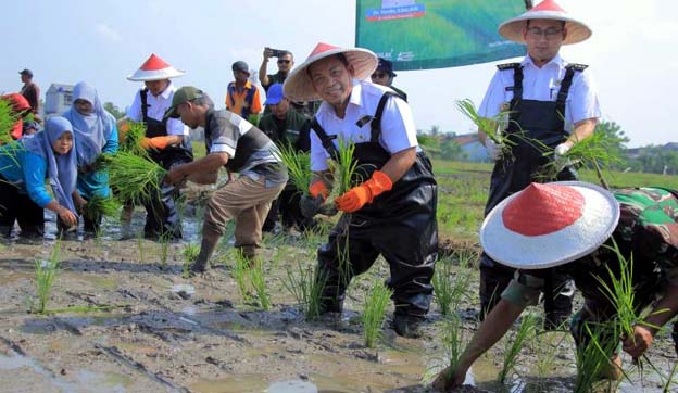 Pj Walikota Tangerang Ajak Masyarakat Giatkan Urban Farming