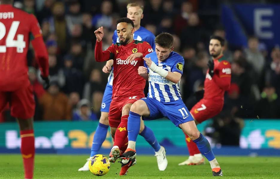 Wolverhampton Bermain Imbang Tanpa Gol Melawan Brighton