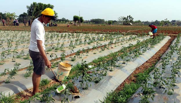 Program Tangerang MANTAP Capai Target RPJMD 100 Persen