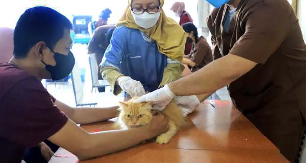 Pemkot Tangerang Hadirkan 21 Rabies Center Vaksinasi Hewan Gratis