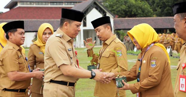 Tekan Inflasi, Pj Bupati Tangerang Bagikan Bibit Cabai ke ASN
