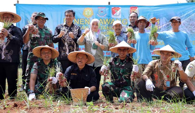 Pemkot Tangsel Gelar Panen Raya Bawang Merah di KPT Serpong